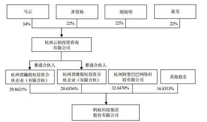 螞蟻集團 半年狂賺212億，毛利率達50%，科創板與港交所同步上市引領金融科技新浪潮