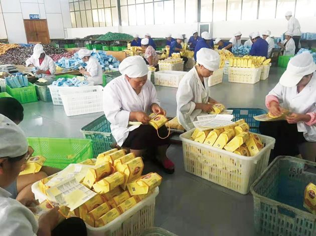 保山市食用農產品加工業提質增效 書寫高質量發展新篇章